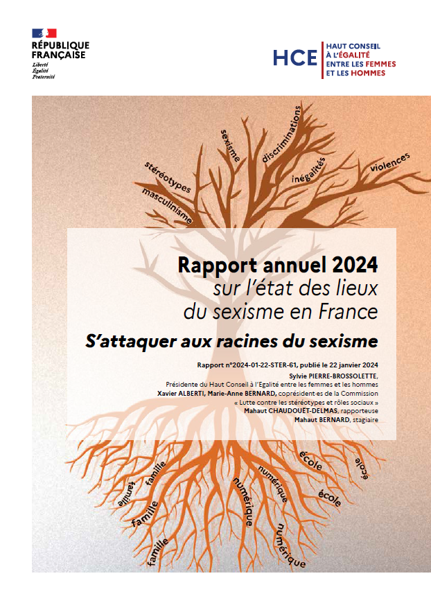 Rapport Annuel 2024 état Des Lieux Du Sexisme En France